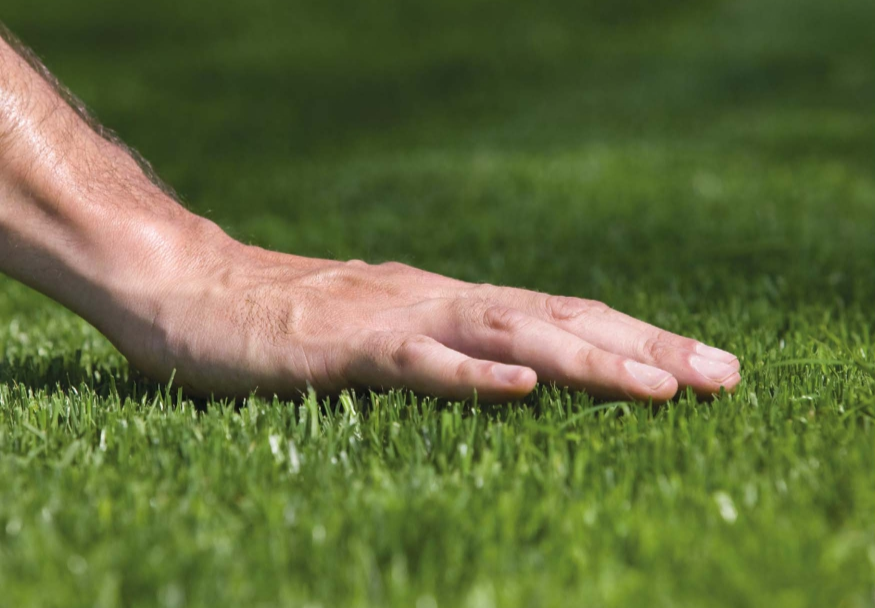 Da Benza puoi realizzare il tuo giardino su misura. L'azienda ha da poco lanciato un nuovo prodotto: il prato sintetico Benza Green