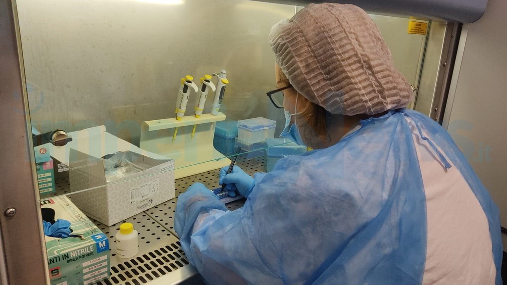 Coronavirus: oggi in calo i casi di Covid in proporzione ai tamponi ma scende anche il tasso di positività