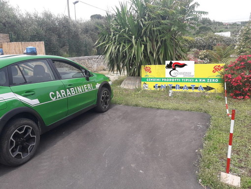 Diano Castello: oggi la discussione al Riesame sul caso del camping 'Al Roseto' Diano Castello: oggi la discussione al Riesame sul caso del camping 'Al Roseto'