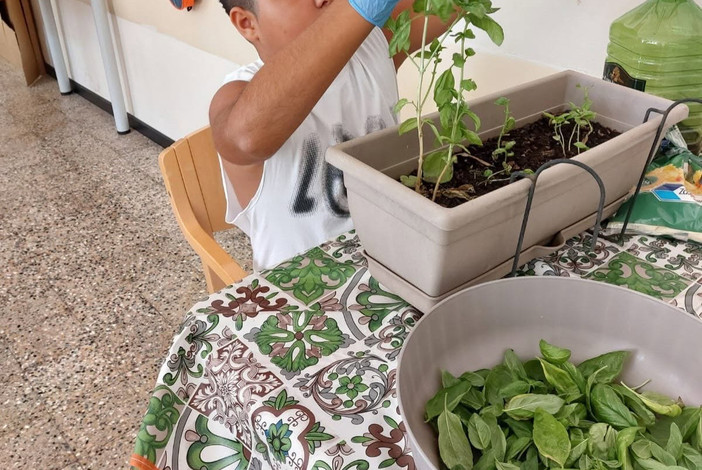 Dal seme al mortaio, il pesto genovese come percorso riabilitativo e terapeutico dei ragazzi dell’Isah di Imperia Dal seme al mortaio, il pesto genovese come percorso riabilitativo e terapeutico dei ragazzi dell’Isah di Imperia