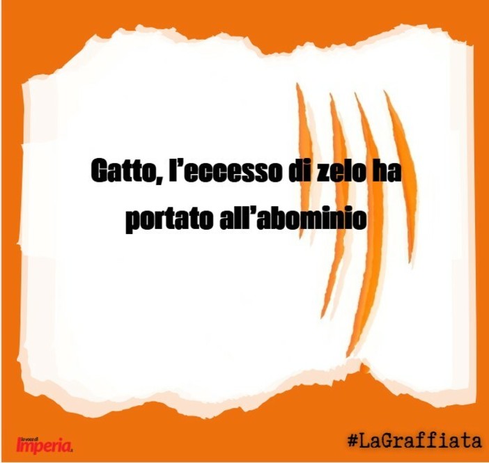LA GRAFFIATA. Gatto, l'eccesso di zelo ha portato all'abominio