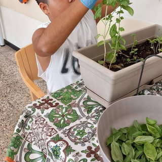 Dal seme al mortaio, il pesto genovese come percorso riabilitativo e terapeutico dei ragazzi dell’Isah di Imperia