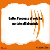 LA GRAFFIATA. Gatto, l'eccesso di zelo ha portato all'abominio LA GRAFFIATA. Gatto, l'eccesso di zelo ha portato all'abominio