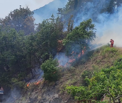 Incendio di vaste proporzioni a Colle San Bartolomeo, sul posto i vigili del fuoco (foto)