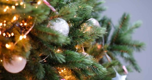 San Bartolomeo al Mare: i bambini delle scuole primarie del Golfo Dianese trasformano il Natale in un'esplosione di creatività e sostenibilità