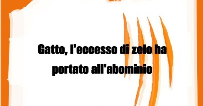 LA GRAFFIATA. Gatto, l'eccesso di zelo ha portato all'abominio