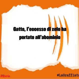 LA GRAFFIATA. Gatto, l'eccesso di zelo ha portato all'abominio