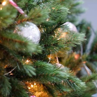 San Bartolomeo al Mare: i bambini delle scuole primarie del Golfo Dianese trasformano il Natale in un'esplosione di creatività e sostenibilità