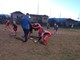 Rugby, grinta tutta al femminile per le Girls dei Reds (foto)
