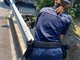 Diano Marina, cane disperso salvato dopo due giorni: era intrappolato in un condotto di scolo Diano Marina, cane disperso salvato dopo due giorni: era intrappolato in un condotto di scolo