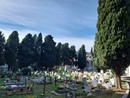 ‌Imperia, saranno esumate le salme sepolte nel 2009 e nel 2004 nei cimiteri di Oneglia e Porto Maurizio