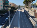 Pista ciclabile di Imperia senza alberi. Al posto del bosco sulla Vespucci un gruppo di imperiesi propone la piantumazione di piante e fiori sulla corsia dedicata alla navetta Pista ciclabile di Imperia senza alberi. Al posto del bosco sulla Vespucci un gruppo di imperiesi propone la piantumazione di piante e fiori sulla corsia dedicata alla navetta