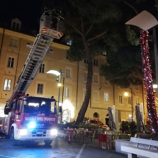 Imperia, rami pericolanti in piazza San Francesco a Oneglia: intervento dei vigili del fuoco