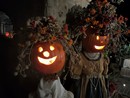 Festa della Babacce a Rezzo
