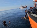 Dal ritrovamento al largo di Imperia al ritorno in mare: Thalassa, la tartaruga Caretta caretta, torna libera Dal ritrovamento al largo di Imperia al ritorno in mare: Thalassa, la tartaruga Caretta caretta, torna libera