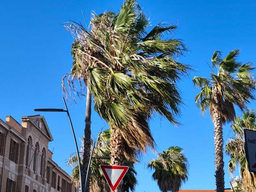 Forte vento nell’Imperiese: 27 interventi dei vigili del fuoco