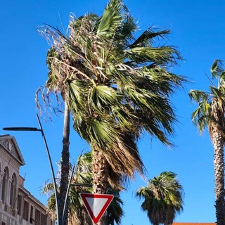 Forte vento nell’Imperiese: 27 interventi dei vigili del fuoco