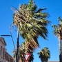 Forte vento nell’Imperiese: 27 interventi dei vigili del fuoco