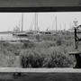 Foto di Tommaso Lupi da Imperia che fu Foto di Tommaso Lupi da Imperia che fu