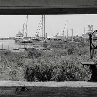 Foto di Tommaso Lupi da Imperia che fu