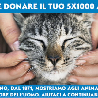 Anche nella nostra provincia è possibile donare il 5x1000 all'Enpa l'associazione che aiuta gli animali
