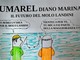 LA VIGNETTA DI UMAREL LA VIGNETTA DI UMAREL