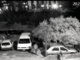 Camporosso, coppia di ladri d'auto ripresi con un telefonino:&quot;Ogni sera brutti ceffi vicino ai nostri condomini&quot; (video)