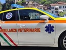 Diano Marina attiva il servizio gratuito di ambulanze veterinarie per gli animali da compagnia