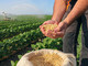 Al via corso di formazione per competenze strategiche in campo agroalimentare del Gal Riviera dei Fiori