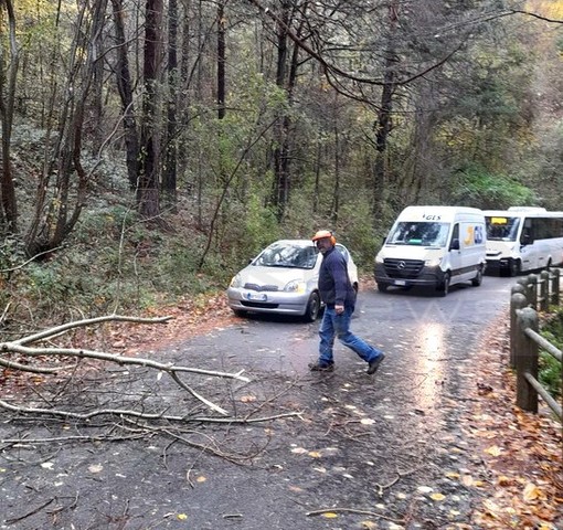Maltempo sulla nostra provincia: Vigili del Fuoco al lavoro per liberare alcune strade da alberi caduti