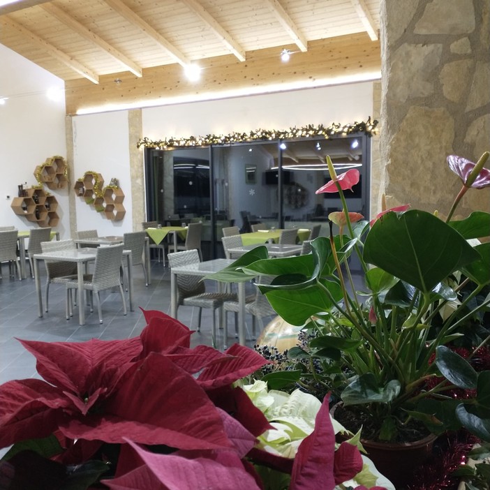 Agribirreria Green House la nuova realtà a Santo Stefano 100% Green, per Natale anche il karaoke Agribirreria Green House la nuova realtà a Santo Stefano 100% Green, per Natale anche il karaoke