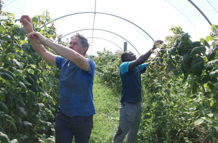 (immagine generica d'archivio) (immagine generica d'archivio)