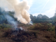La Regione sospende fino a lunedì mattina lo stato di grave pericolosità per gli incendi boschivi