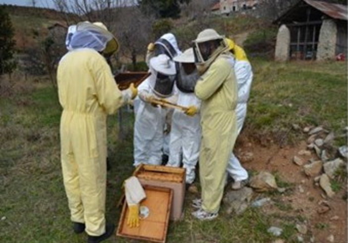 Imperia: una serie di corsi base per formare nuove leve di apicoltori anche nella nostra provincia