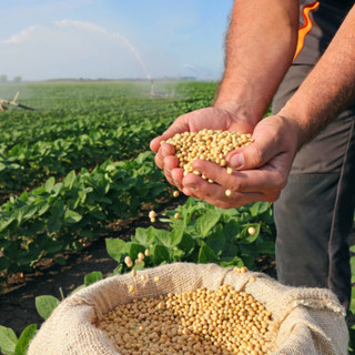 Al via corso di formazione per competenze strategiche in campo agroalimentare del Gal Riviera dei Fiori