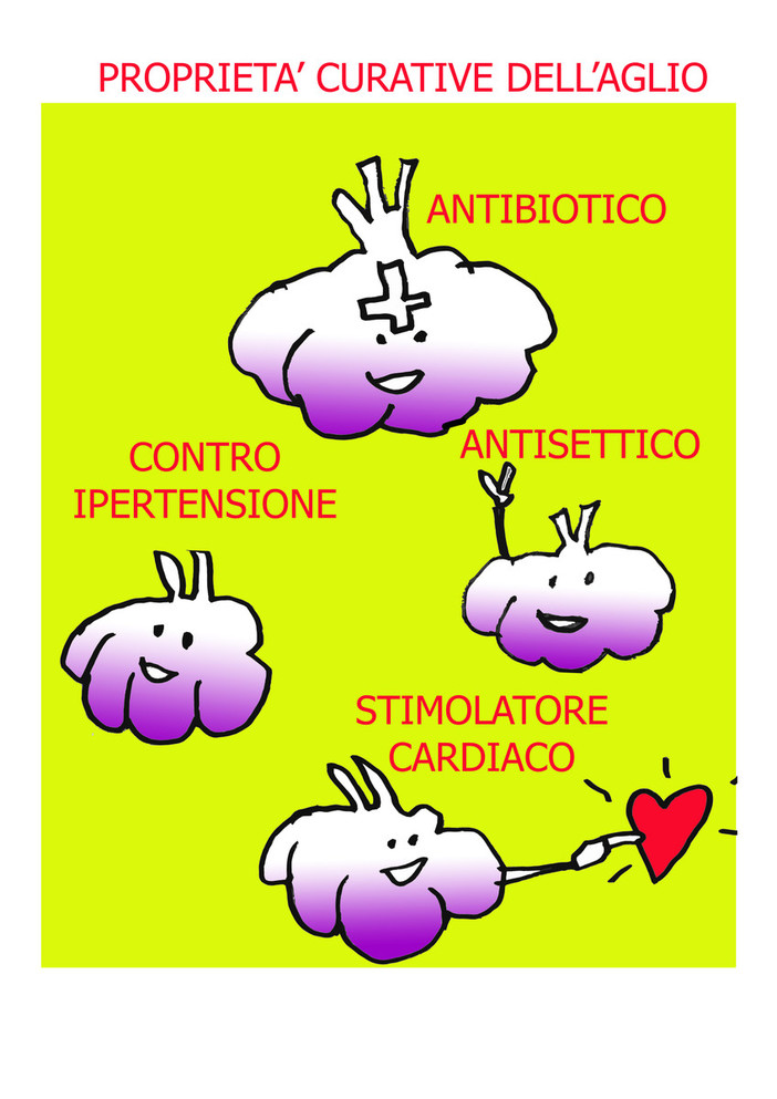 Aglio di Vessalico: non è solo buono, ma fa anche bene alla salute