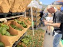 "Aromatica – Profumi e Sapori della Riviera Ligure", si è già messa in moto la macchina organizzativa