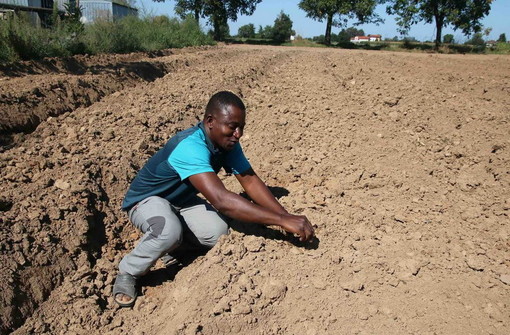 In tutta la Liguria il disagio di 4.500 lavoratori agricoli: la protesta dei sindacati Fai, Flai e Uila