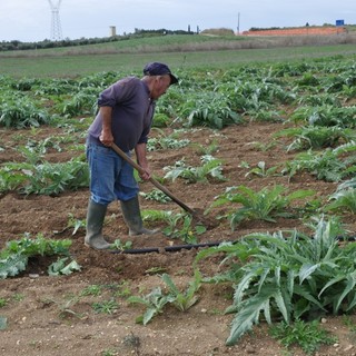 Agricoltura: Piana “Con il Psr oltre 17 milioni per migliorare la qualità di vita e l’attrattività delle aree rurali”