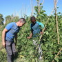 Decreto Legge Agricoltura, Coldiretti: “Serve moratoria per una azienda agricola su tre”