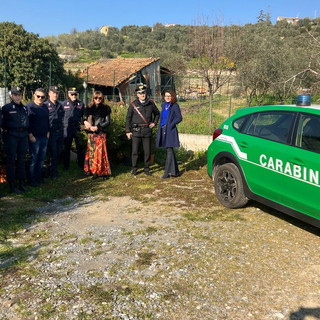 Gli alberi di Natale dei commercianti del Golfo Dianese nell’entroterra con la collaborazione dei Carabinieri Forestali (Foto) Gli alberi di Natale dei commercianti del Golfo Dianese nell’entroterra con la collaborazione dei Carabinieri Forestali (Foto)