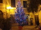 Imperia: un albero di Natale dedicato a tutti i cittadini, ecco l'iniziativa de 'La Giraffa a Rotelle' (Foto)