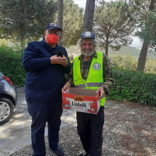 Tra Imperia e Savona molti i salvataggi di gattini abbandonati : l'Accademia Kronos in prima linea (foto)