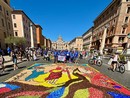 Da Diano Marina a Roma per allestire la storica infiorata