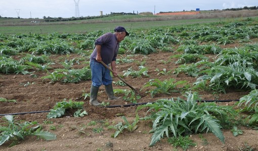 La  Fondazione della ‘Riviera dei Fiori Onlus’ acquista una tenuta agricola per dare lavoro