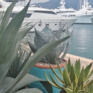 La bella stagione è appena iniziata: AG Sanremo ti invita a festeggiarla con i colori delle succulente e delle spine dei cactus