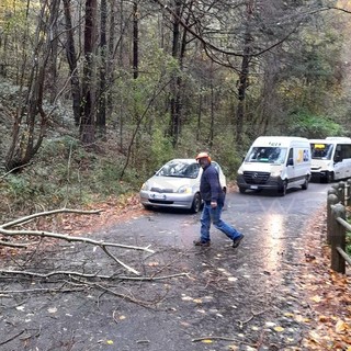 Maltempo sulla nostra provincia: Vigili del Fuoco al lavoro per liberare alcune strade da alberi caduti
