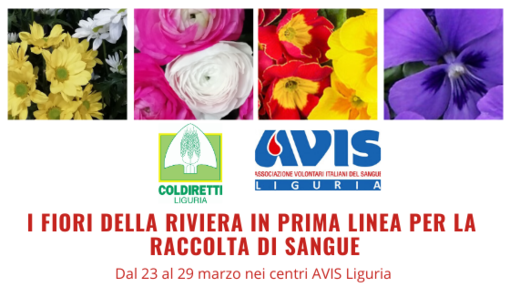 Grazie ad accordo AVIS - Coldiretti Liguria, i fiori della riviera in prima linea per la raccolta di sangue