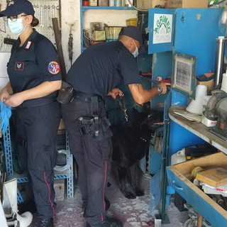 Un altro arsenale nel garage di Alberto Grosso fermato a Pieve di Teco: i Carabinieri hanno rinvenuto armi, esplosivi e munizioni