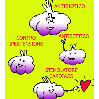 Aglio di Vessalico: non è solo buono, ma fa anche bene alla salute
